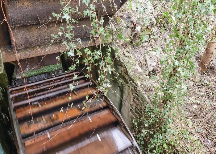 The Eller Beck 度假居 *